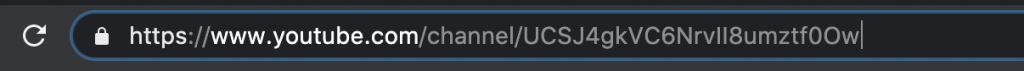 Screenshot of YouTube Channel URL - the ID is the string of characters after /channel/