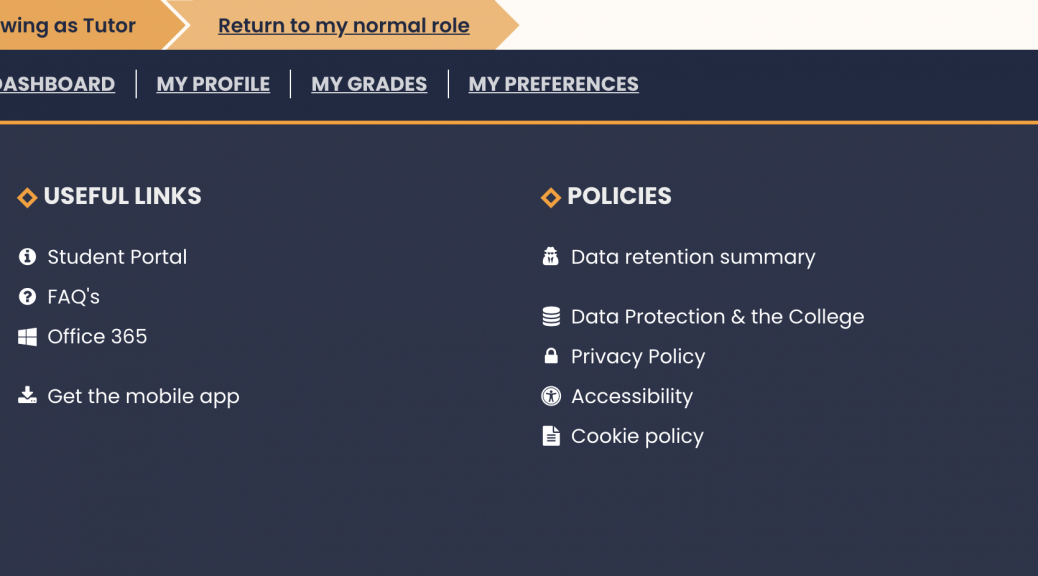 Screenshot of the VLE footer